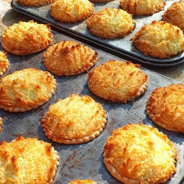 Hertzoggies