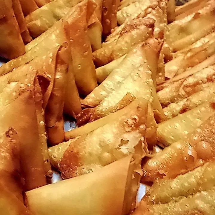 Mince samoosas
